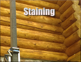  Quincy, Ohio Log Home Staining